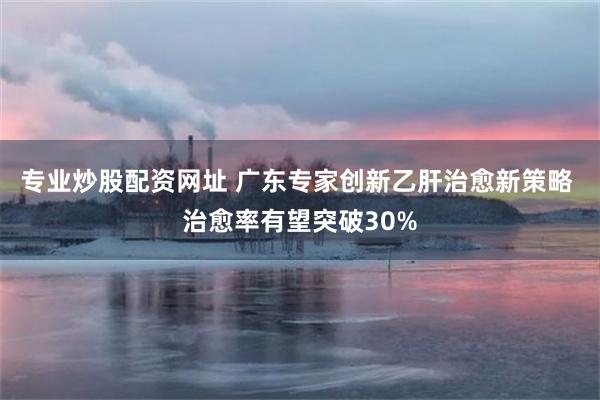 专业炒股配资网址 广东专家创新乙肝治愈新策略 治愈率有望突破30%