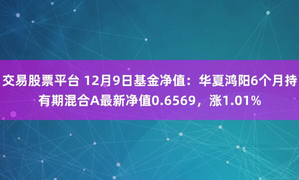 交易股票平台 12月9日基金净值：华夏鸿阳6个月持有期混合A最新净值0.6569，涨1.01%