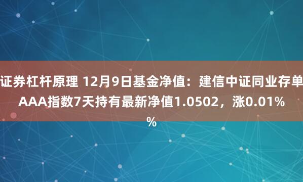 证券杠杆原理 12月9日基金净值：建信中证同业存单AAA指数7天持有最新净值1.0502，涨0.01%