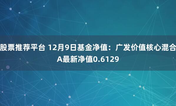 股票推荐平台 12月9日基金净值：广发价值核心混合A最新净值0.6129