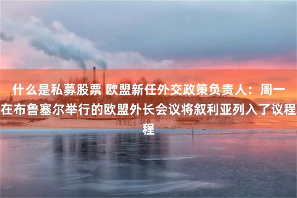 什么是私募股票 欧盟新任外交政策负责人：周一在布鲁塞尔举行的欧盟外长会议将叙利亚列入了议程