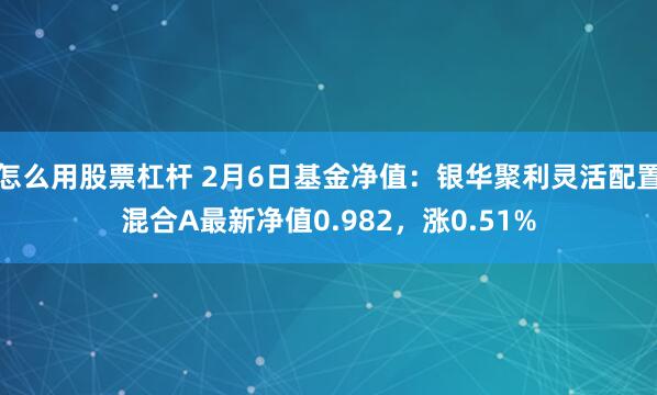 怎么用股票杠杆 2月6日基金净值：银华聚利灵活配置混合A最新净值0.982，涨0.51%