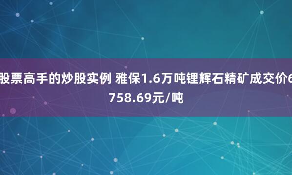 股票高手的炒股实例 雅保1.6万吨锂辉石精矿成交价6758.69元/吨