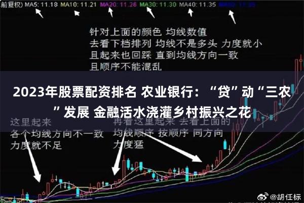 2023年股票配资排名 农业银行：“贷”动“三农”发展 金融活水浇灌乡村振兴之花